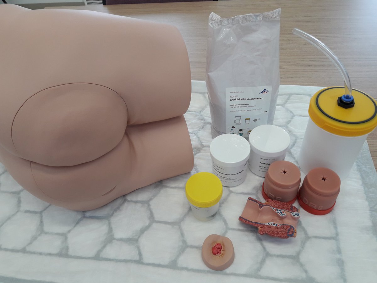 NorthumbriaDASH's tweet image. Ooooh...how exciting! Our new Digital Rectal Examination (DRE) model has arrived. #rectalexam #DRE #communitynurses #districtnurses #clinicalskills