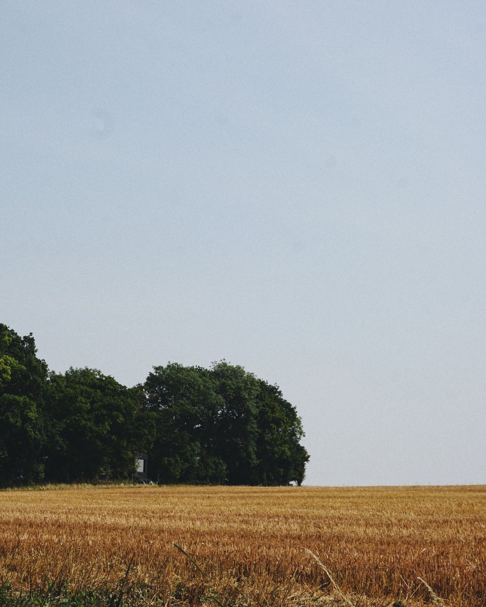 "And this ‘slowness’ made us appreciate the experience more. In a world of chasing efficiency and productivity, this without the distraction of the technology, our senses really opened up and started to fully take the experience from various dimensions."