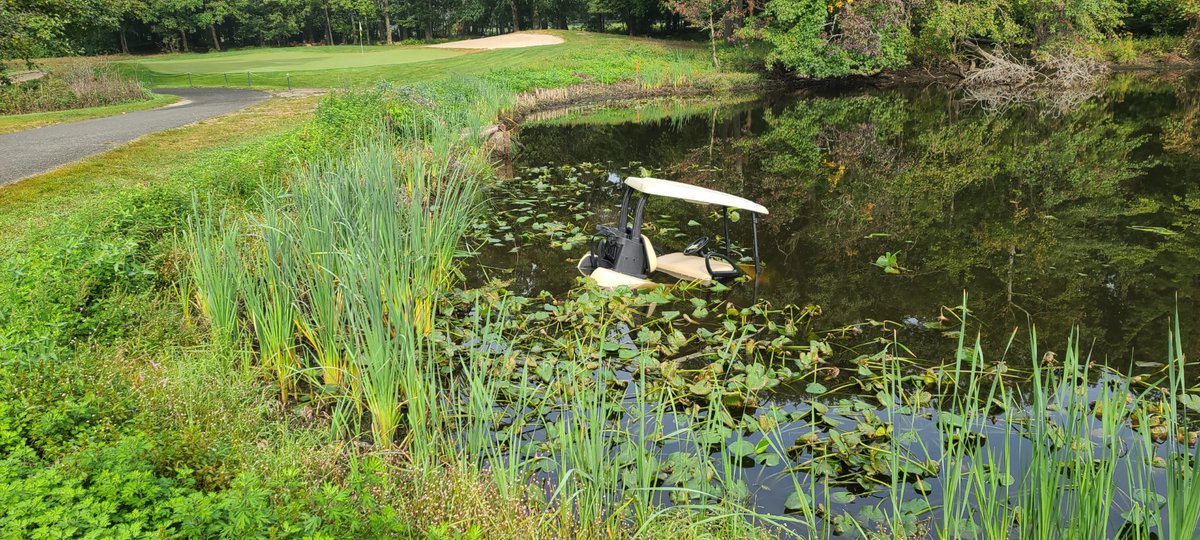 hermen van dunk tweet media