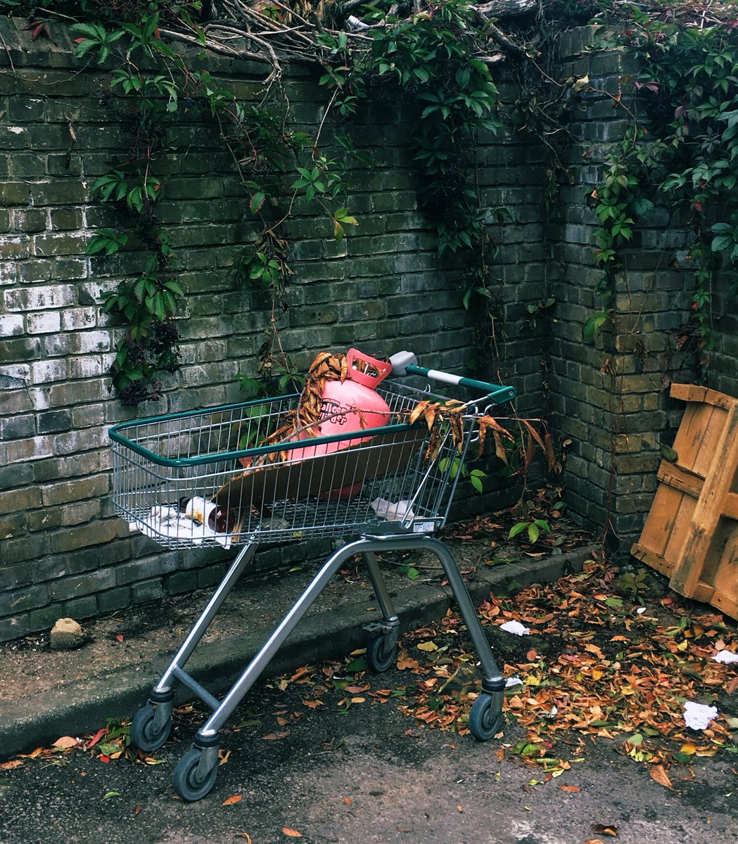 sennydreadful's tweet photo. If I ever forget I was an art student, I only need remember that I’m still the sort of person who has to take photos of abandoned trolleys #EveryDayAutumn https://t.co/Bh1bXFtACn
