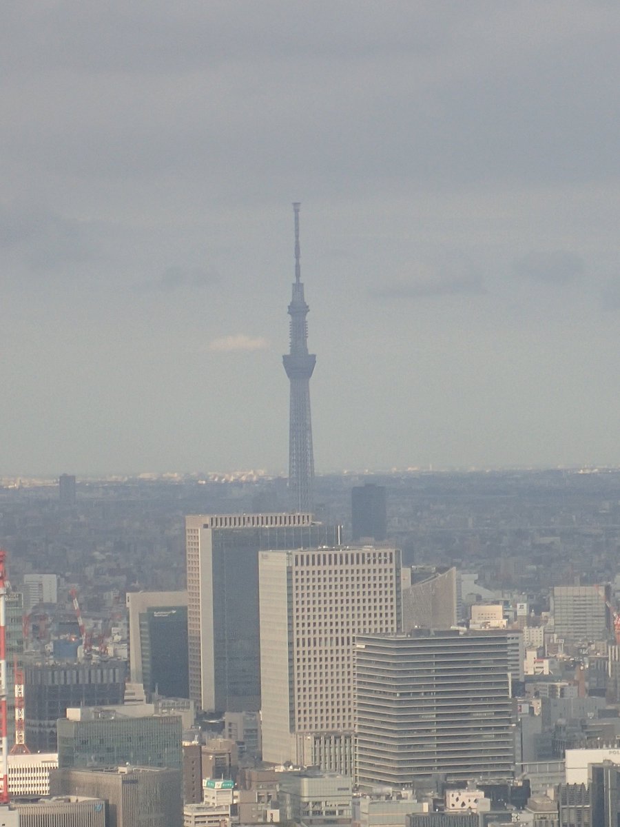 天神 天下 先日のレイカル 東京観光in東京タワー8 トップデッキ 今までとは比較にならない景色に圧倒されつつ 景色を見回る我々 そこにレイカルが北東方面に何かを見つけた 見ると あれは スカイツリーだ ここでその姿を見るとは この位置 場所で