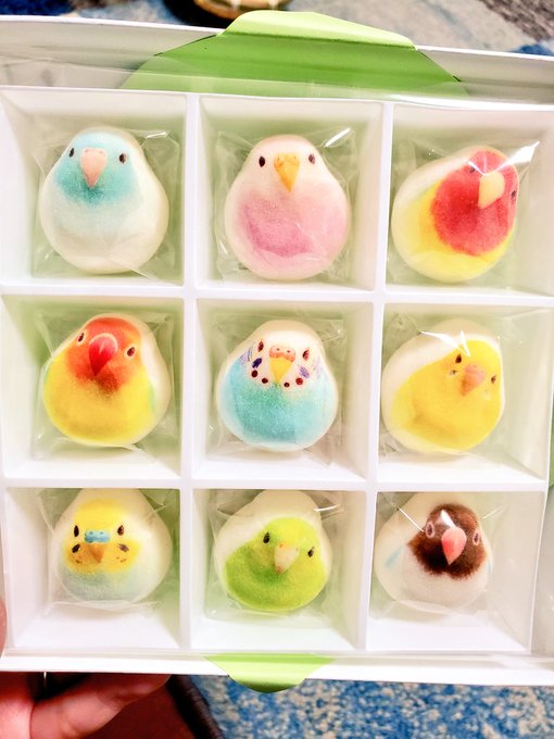 インコのほうずいのtwitterイラスト検索結果