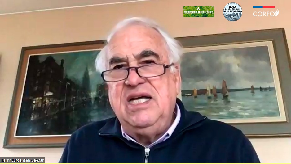 Harry Jürgensen Caesar tweet media