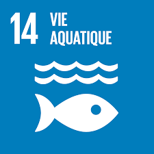 #EDD #SEDD2020 #odd14 Appel à projet 🐸 Le dépt @cotesdarmor22 renouvelle le dispositif 💧« Classes Eau-Biodiversité ,Collèges en Côtes d’Armor » , en partenariat avec @acrennes et l’Agence de l’Eau @LoireBretagne 
➡️+ d'infos bit.ly/2RXcc67