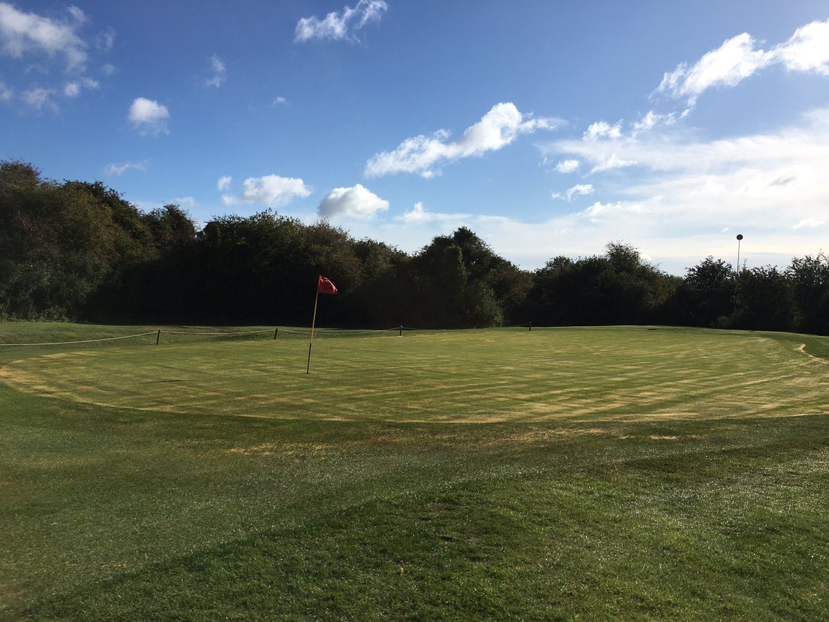 tomofreemo's tweet photo. Final piece of the 7th puzzle this morning, 20mm solid tine 200mm depth, kiln dried, sweep n fill #wintergolf #notemp #downland @HighPostGolf https://t.co/ElGy8ZEFaI