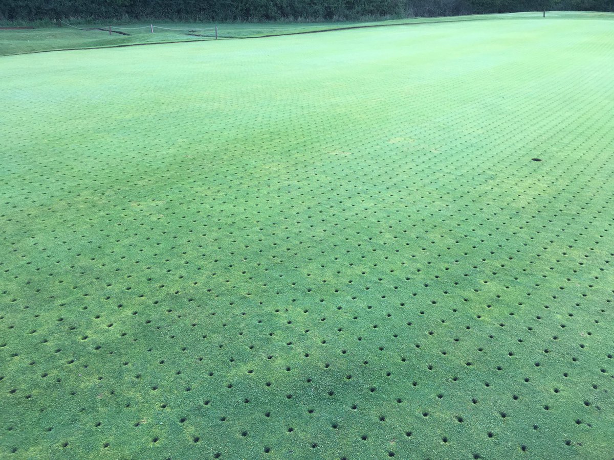 tomofreemo's tweet photo. Final piece of the 7th puzzle this morning, 20mm solid tine 200mm depth, kiln dried, sweep n fill #wintergolf #notemp #downland @HighPostGolf https://t.co/ElGy8ZEFaI