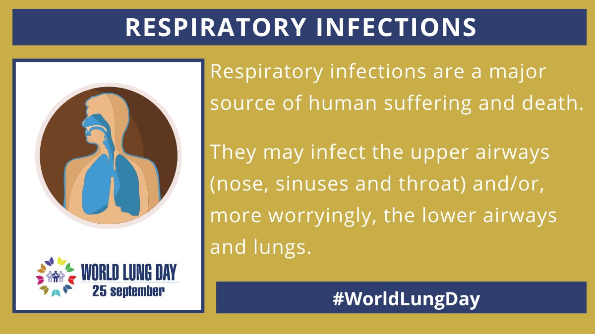 Did you know that today is #WorldLungDay? Respiratory infections remain a major source of human suffering and death. We need more research to prevent, detect and treat respiratory infections. 

Learn more and access resources: firsnet.org/index.php/news… <a href="/FIRS_LungsFirst/">FIRS -Forum of International Respiratory Societies</a>