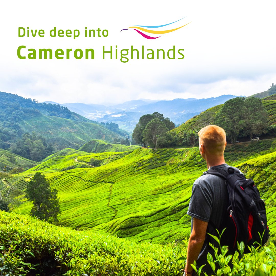 skipperflyco's tweet photo. Cameron Highlands in Malaysia was built to provide the residents in the lowland with some respite during the summer months &amp; allow them to enjoy the cooler climate. It spans some 71,000 hectares of land with unusual attractions such as rose picking &amp; sweeping tea plantations. https://t.co/yGoAerlY4H