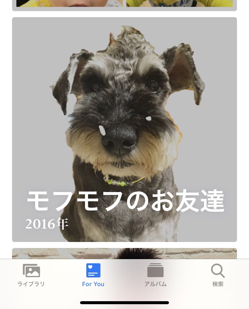 モフモフのお友達 という名のiphoneが勝手に作ってくれるメチャカワアルバム Togetter モフモフのお友達 という名のiphoneが勝手に作ってくれるメチャカワアルバム Togetter