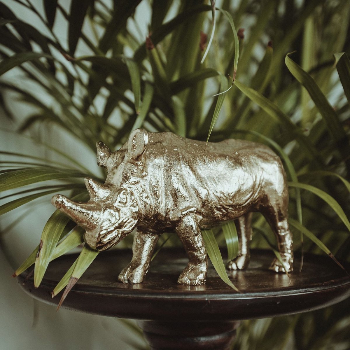 Russel the Rhino looking magnificent! 🦏

#jungleinspo #homedecor #myhousebeautiful  #ltkhome #howyouhome #ggathome #home #productstyle #currenthomeview #deco #bohodecor #apartmenttherapy #jungalowstyle #livingroomdecoration #makingmyhaven #homedeco #interiorphotography