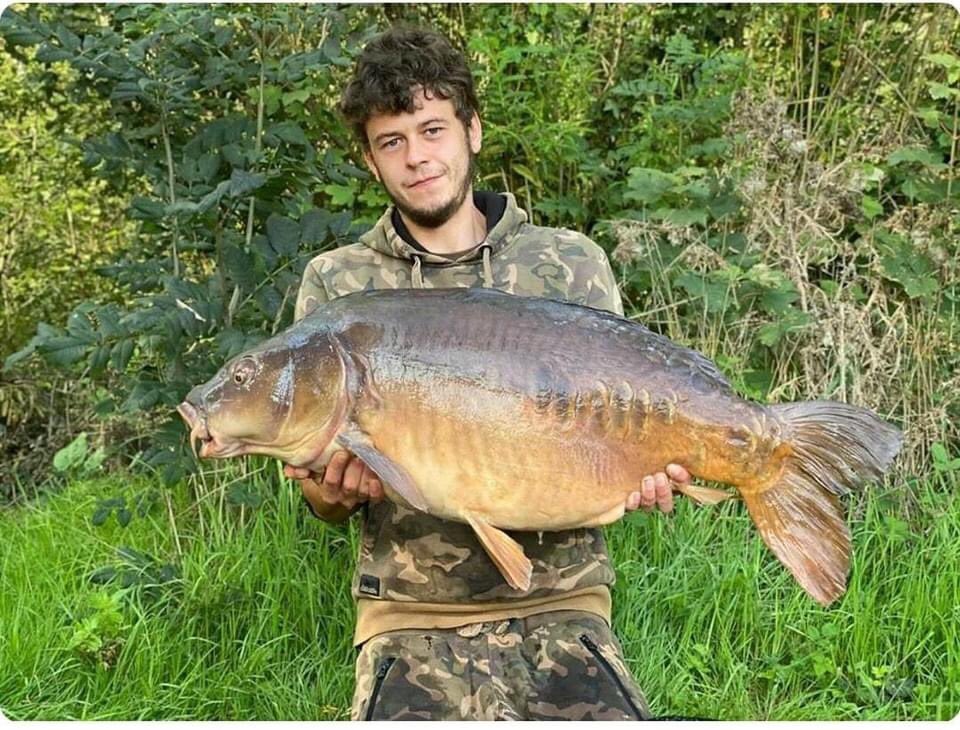 CarbonBaits's tweet photo. Sam nightingale has sent us in a great looking mirror known as seven scale from lakeside country park..

The mirror took the scales round to 35lb 6oz and was caught over a bed of hemp and maize.

Our hemp and maize mix is currently up at a discounted price see the website https://t.co/Yd74epA1cq