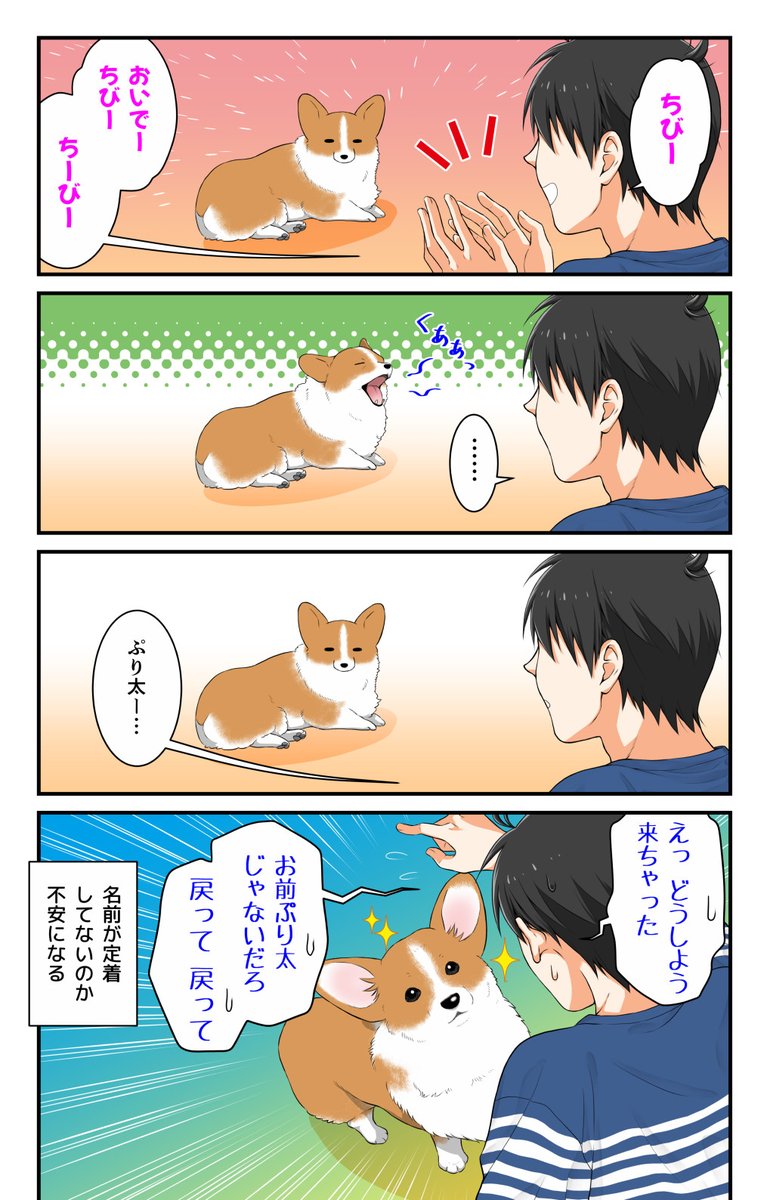 飼い主を翻弄する犬 