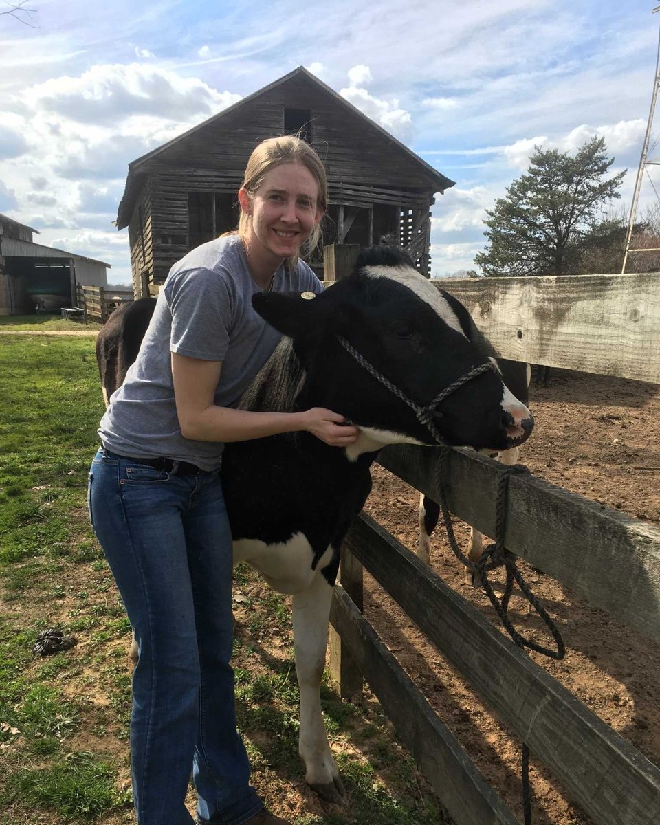QScoutLab's tweet image. Join AAD's Norah Bate for her research summary "Utilizing Leukocyte Differentials at Arrival to Predict Death in Feedlot Calves" at 9:00am EST this morning during the virtual American Association of Bovine Practitioners Conference.  Read the abstract here: ow.ly/Gm8G50BAAc1