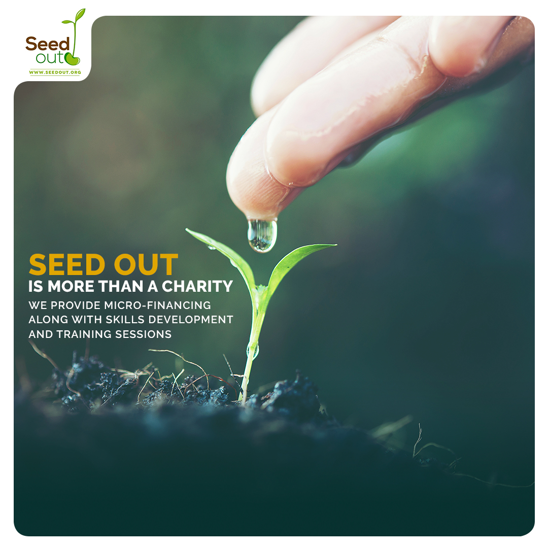 Seedout tweet media