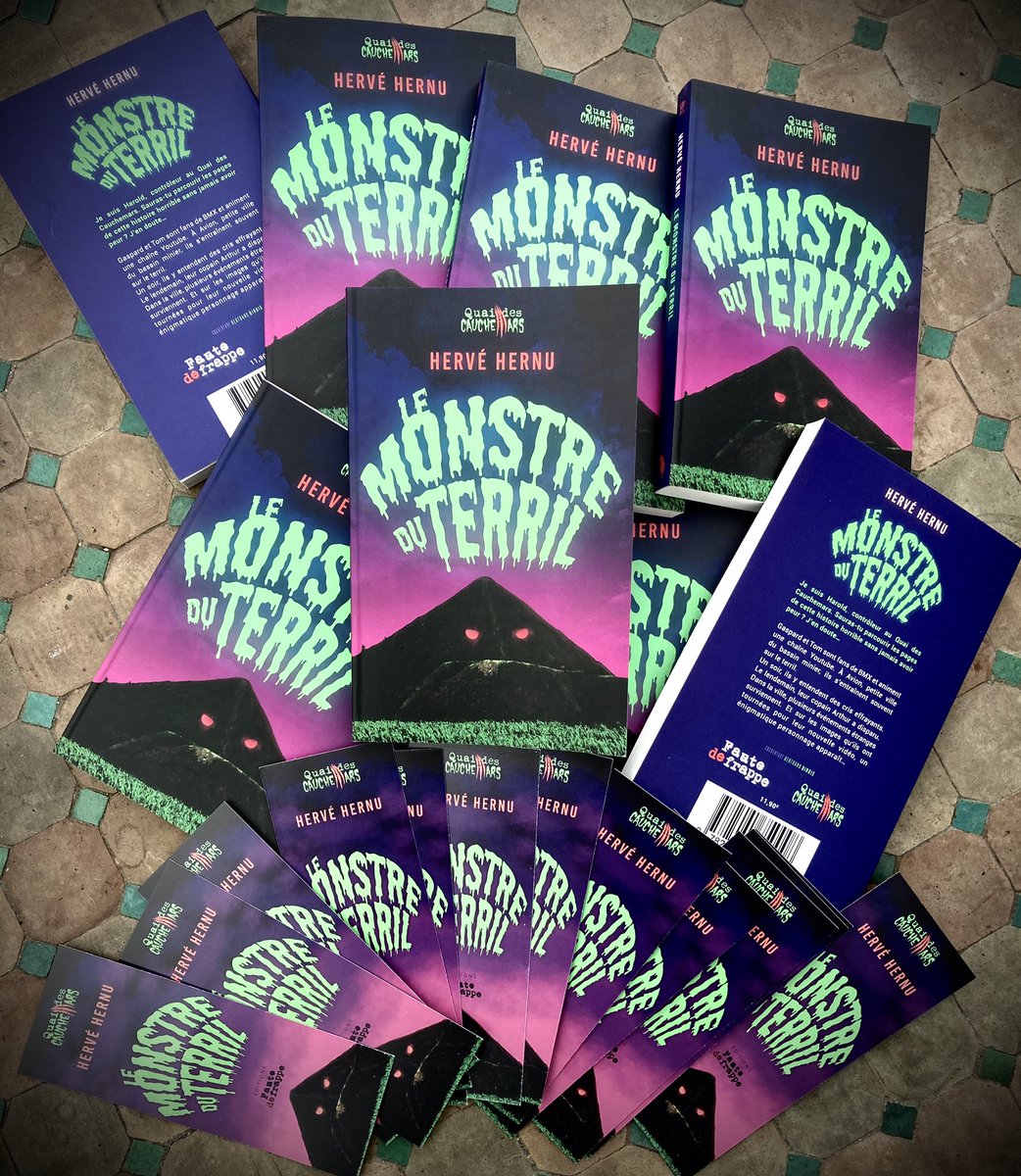 L’automne arrive, mon nouveau jeunesse est là ! Pour vous le procurer au plus vite, et dédicacé, contactez-moi ! Rien de plus facile et rapide ! 
#editionsfautedefrappe #terril #lenslievintourisme #lensculture #lens #villeavion #frisson #lecturedumoment