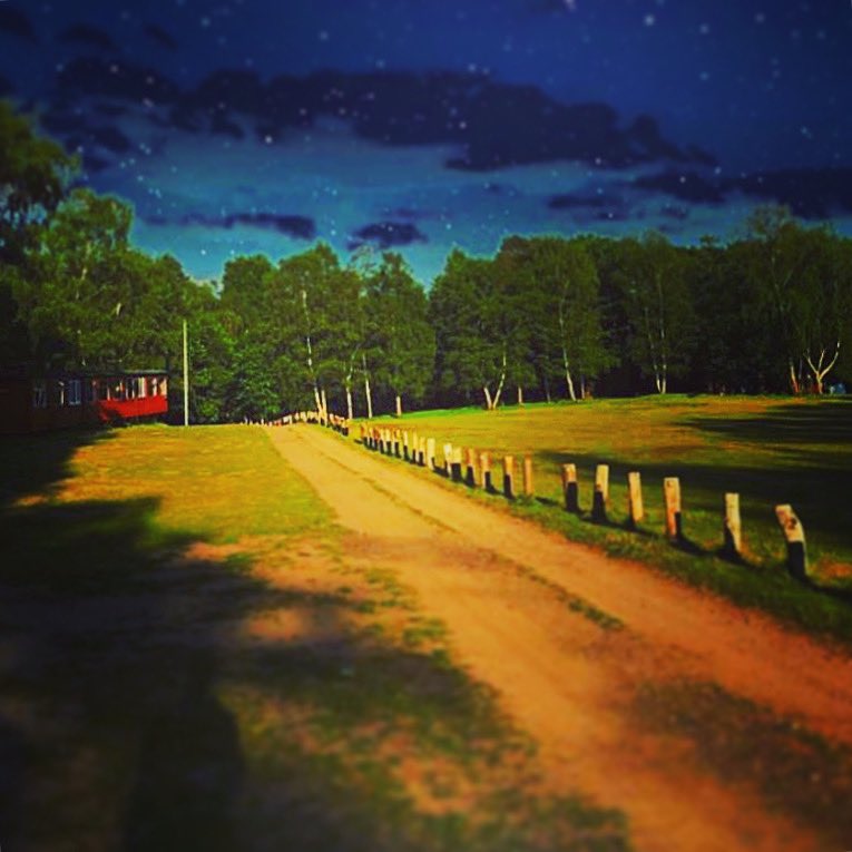 It’s business usual here at Walton Firs! Get in touch with us via info@waltonfirs.co.uk for more information. Come and enjoy the great outdoors today.