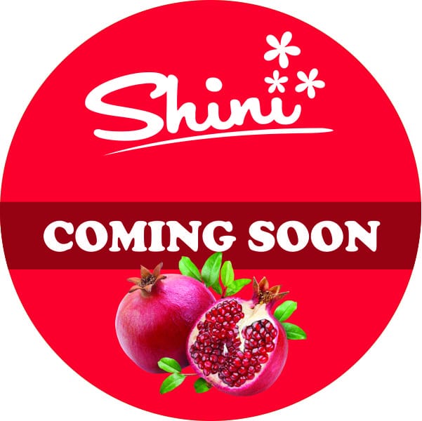 HomemadeShini's tweet image. 