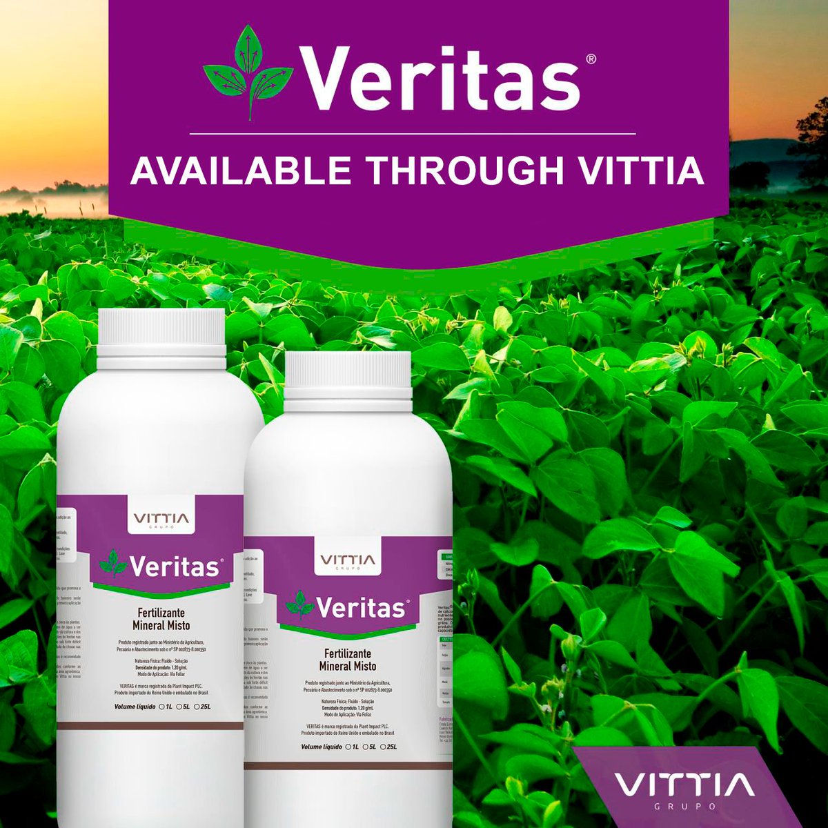 We are pleased to announce our partnership with Vittia who are now exclusively distributing Veritas in Brazil!

Veritas contains our CaT technology that improves localised calcium movement for greater retention of flowers and pods.

#PlantImpact #CropCare #Vittia