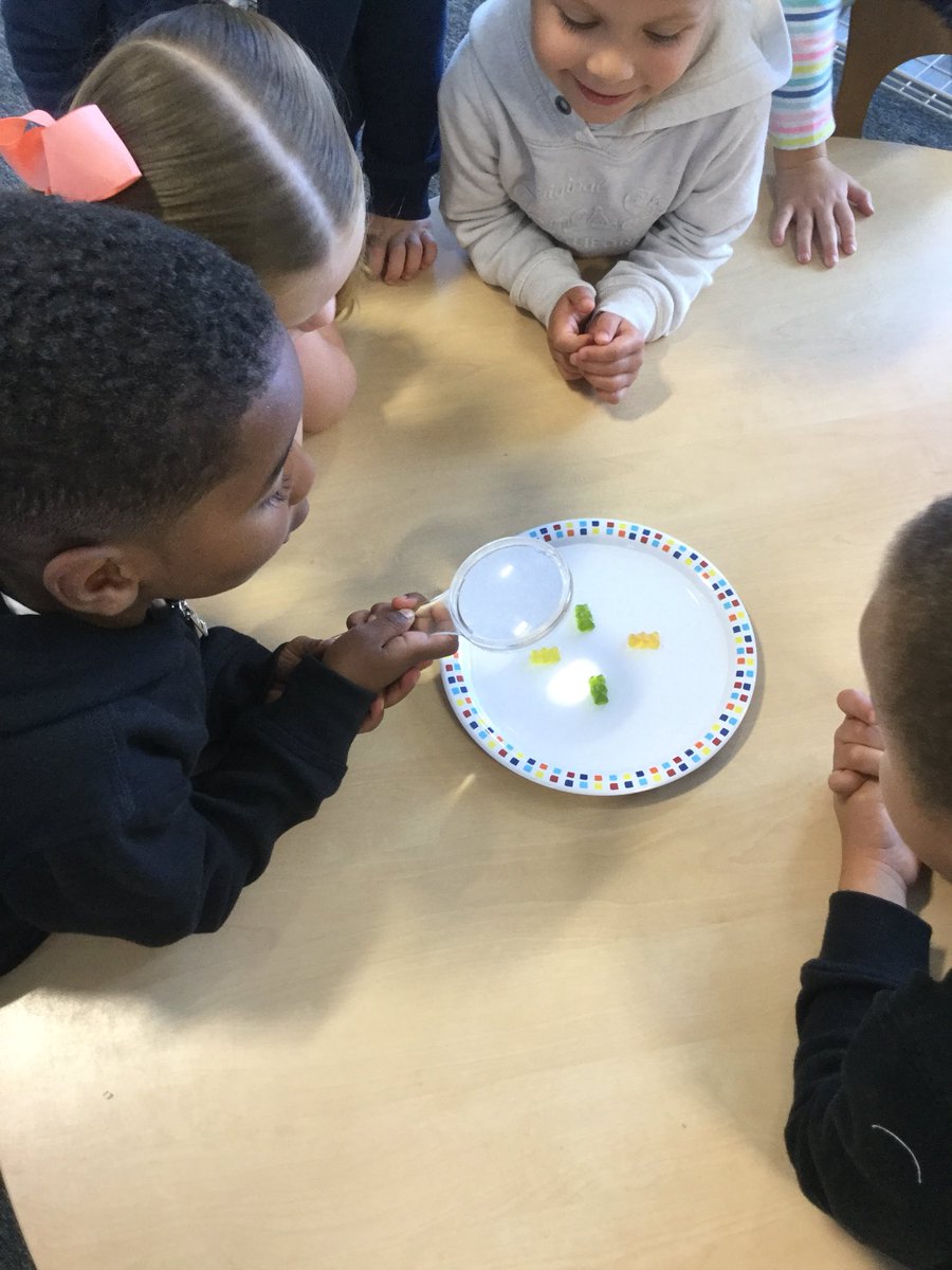 SunnysideSA's tweet photo. In EYFS, we have been learning about what we need to help us grow. We conducted a science experiment to see what Gummy Bears need to help them grow. We predicted water! #eyfs @StoryTimeSTEM https://t.co/cHg4qIVJh5