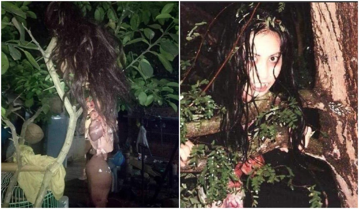 The penanggal or penanggalan is a nocturnal vampiric entity of Malay ghost myths.Its name comes from the word 'tanggal' meaning to remove or take off, because its form is that of a floating disembodied woman's head with its trailing organs still attached.