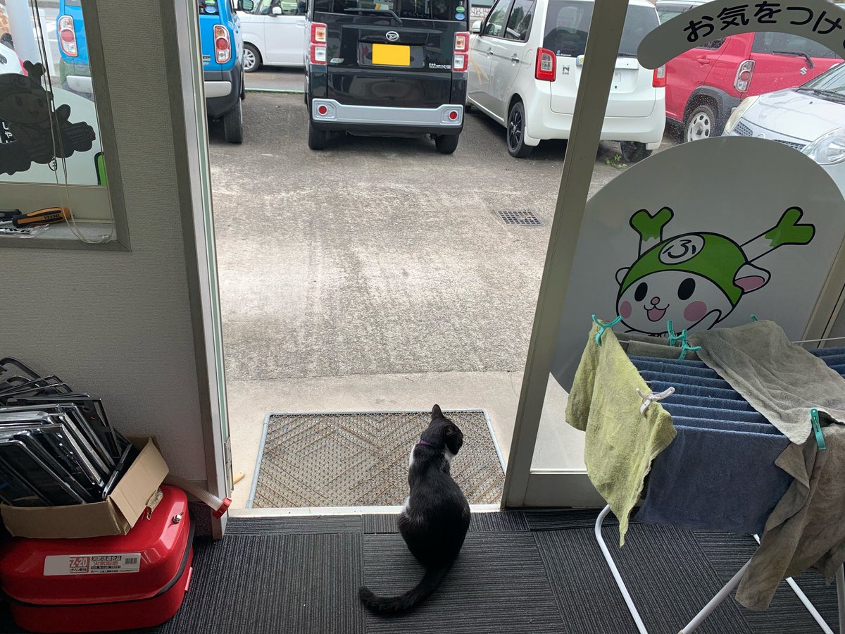 イーカーズ深谷店 ぴぴららぽぽ 今日のピピ お客さんの受け入れ準備中 猫 ねこ 招き猫 深谷 中古車 車探し ふっかちゃん お客さん待ち 来ない 全然来ない 来なすぎる 絶望的に来ない 待ちぼうけ こんなに待っているのに いつまで待た イーカーズ深谷店 ぴぴららぽぽ 今日のピピ お客さんの受け入れ準備中 猫 ねこ 招き猫 深谷 中古車 車探し ふっかちゃん お客さん待ち 来ない 全然来ない 来なすぎる 絶望的に来ない 待ちぼうけ こんなに待っているのに いつまで待た