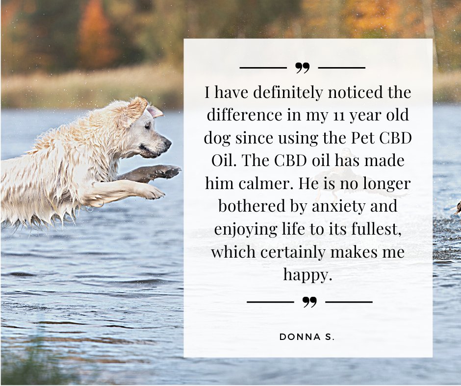 missionfarmscbd's tweet photo. ⭐⭐⭐⭐⭐ Our customer testimonials tell the story.  https://t.co/6k8rkjD5mu https://t.co/qQEk2OSbLv