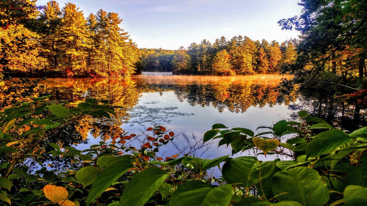 BiggerMarie's tweet photo. #Worcester #Woosta #WorcesterMA #centralMassachusetts #Autumn2020 #fall2020 #2020Autumn #backRoadsOfNewEngland #NewEngland
#4seasons #colors #fallLeaves #WorcesterMassachusetts https://t.co/MGsSWlowKk