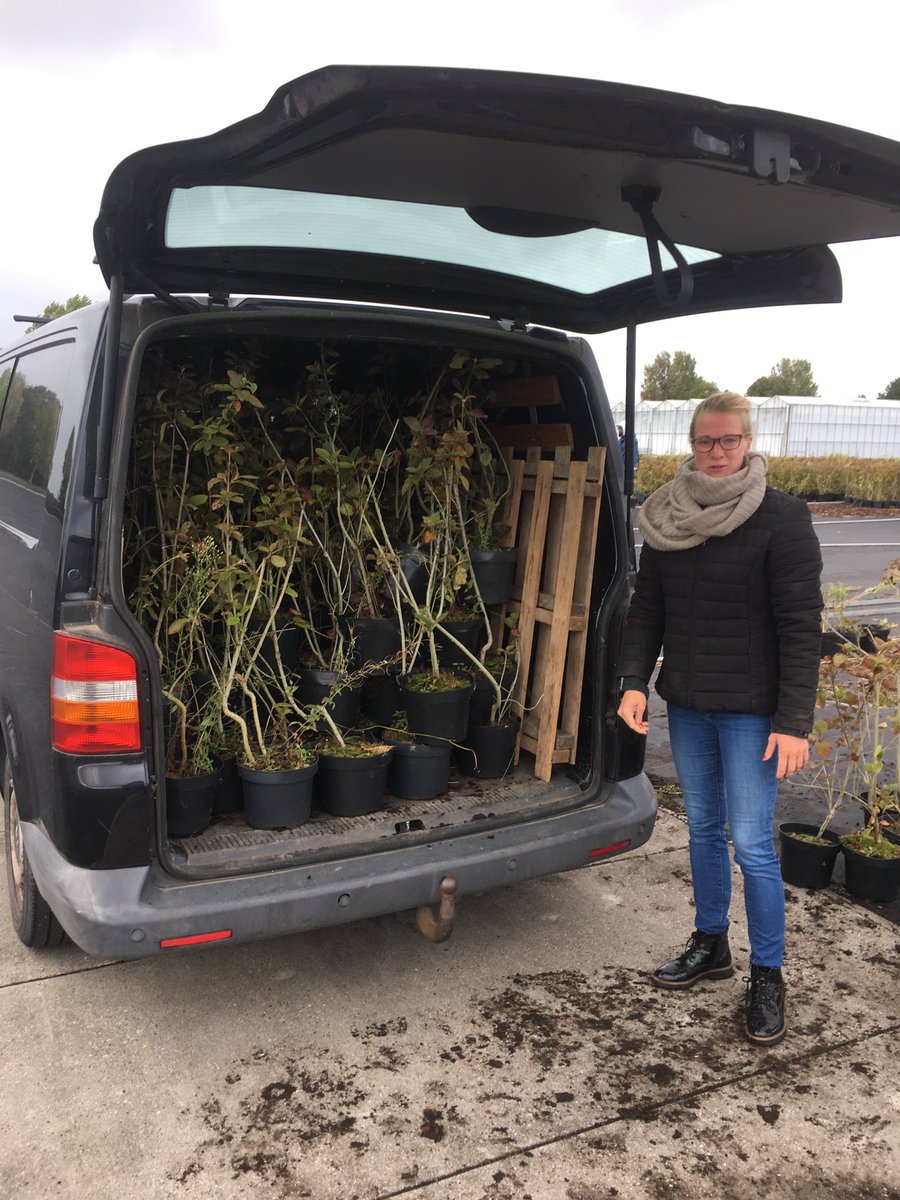 Wil jij voor je wijk ook een volle bus komen halen? Stuur een mail naar info@meerbomen.nu #redeenplant #wipeentegel #redeensneeuwbal