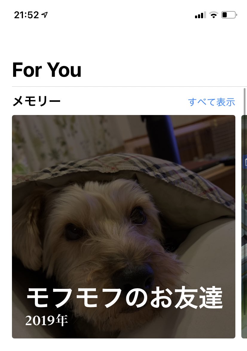 モフモフのお友達 という名のiphoneが勝手に作ってくれるメチャカワアルバム Togetter モフモフのお友達 という名のiphoneが勝手に作ってくれるメチャカワアルバム Togetter