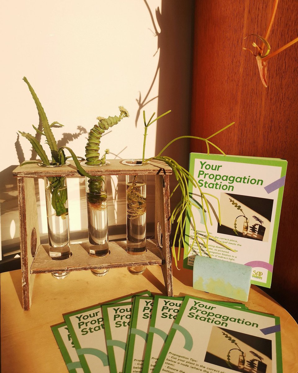 Propagation Stations are now available to purchase through my Etsy Shop!

Each one comes with my top tips for successful propagation, printed on a postcard.

etsy.com/uk/listing/875…