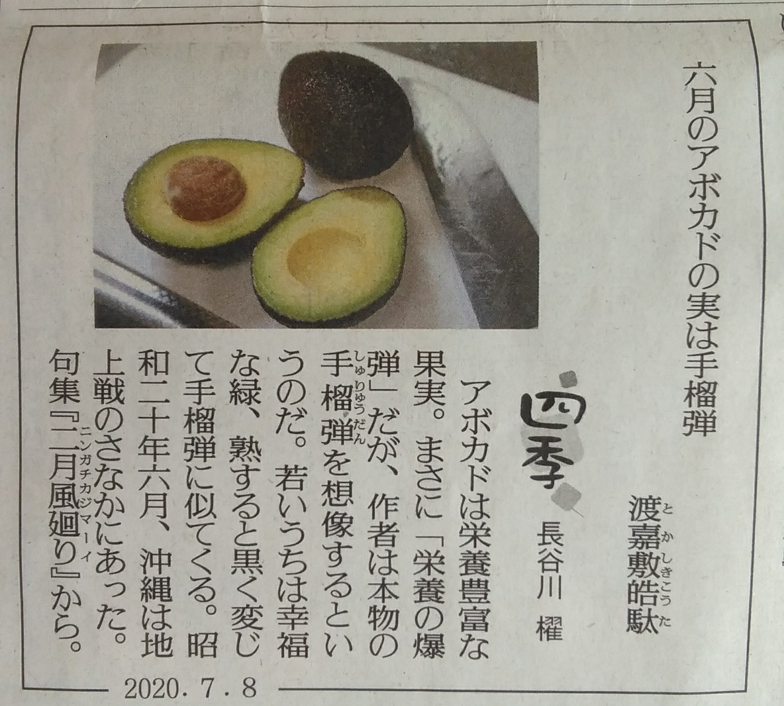 O Xrhsths Sto Twitter アボカドが手榴弾 うん アボガードラーさんだね