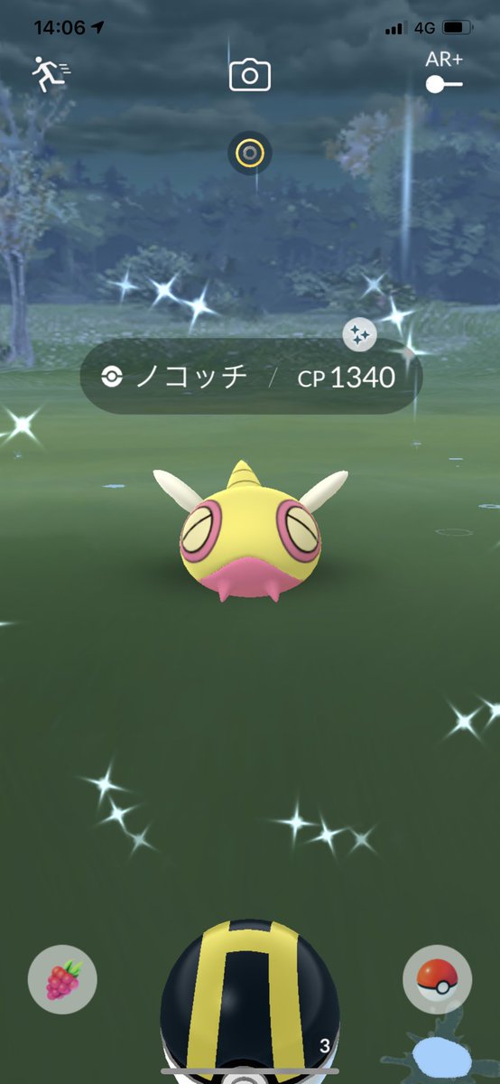ノコッチ色違い ノコッチ色違い