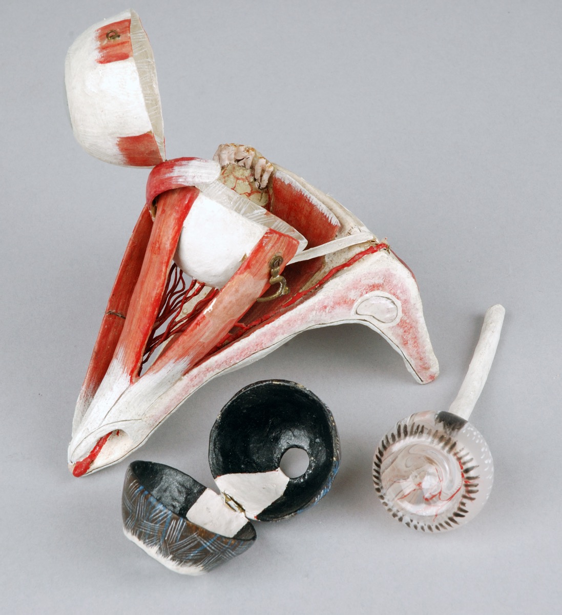 This anatomical model of the eye was an aid for medical students in the C19th.

It is hand-painted papier-mâché & shows the eyeball sitting in a section of bone socket. Inside the iris is a painted glass retina with the optic nerve attached.

#WorldRetinaDay #HistMed #HistAnat