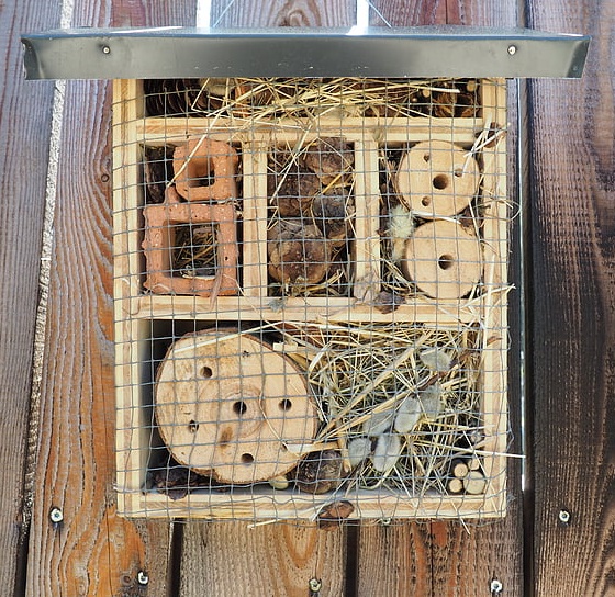 Een druppel, maar óók een zonnetje is de voorspelling voor Burendag morgen!  Bij Quintus hebben we overal rekening mee gehouden dus kom gezellig langs (10.00-13.00u) en maak je eigen  insectenhotel voor de binnenstad. Gratis entree. Aanmelden is niet nodig bit.ly/32YVXMc