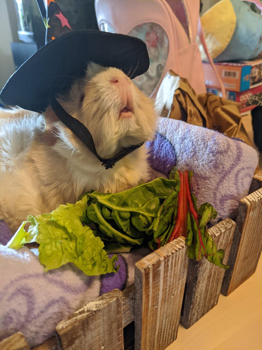 steamedmilky's tweet image. Halloween/fall badges open! 

These waist up badges will be $65; if anyone is interested in full body they will be $80

I have lots of cute goodies including glitter, sequins, metallic pens, and BELLS!

I'll take 5 of these; please dm or comment to claim!