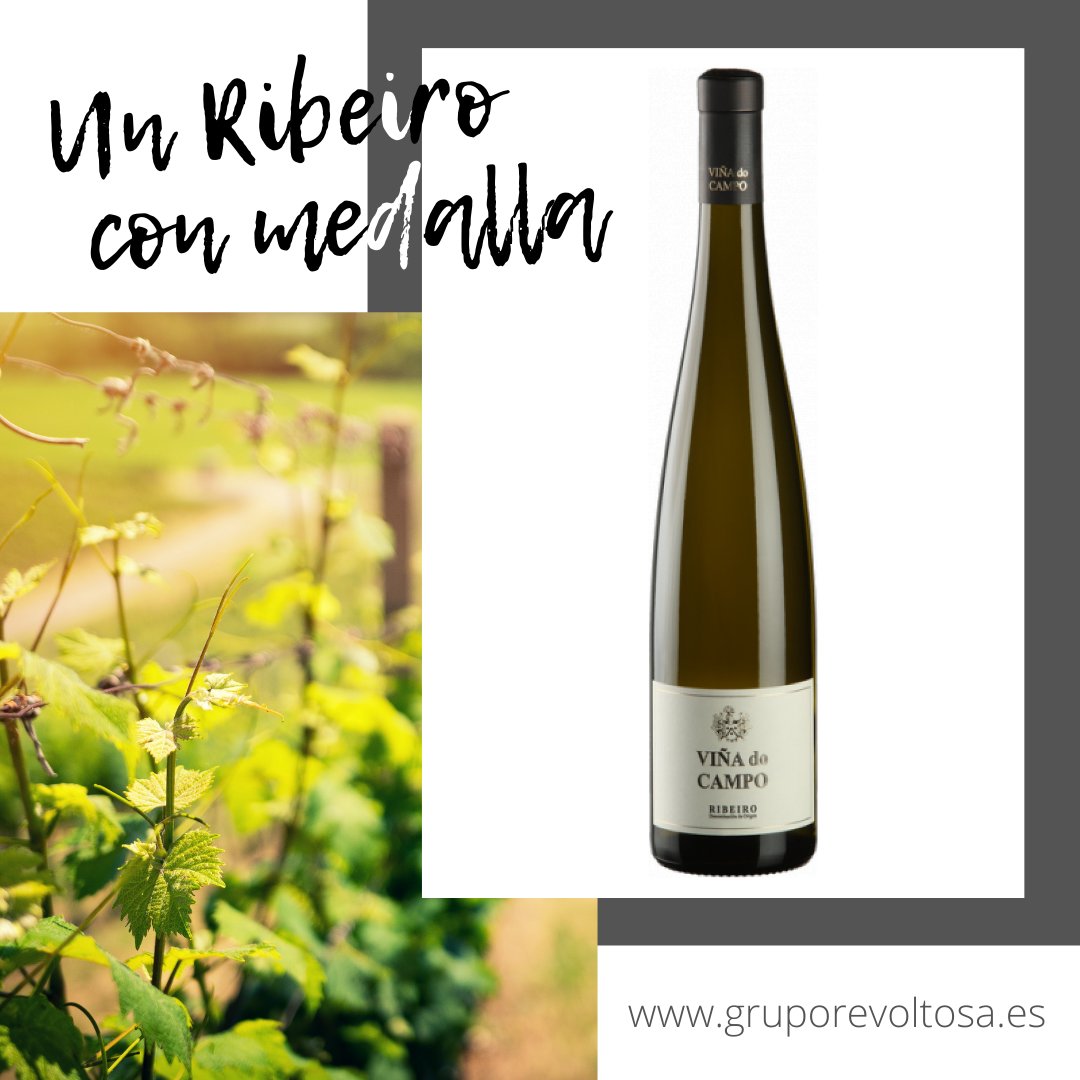 🥇🥇 El Viña do Campo, D.O. Ribeiro obtuvo dos medallas de oro en la 26ª Edición del Concurso Vinlies Internationales, celebrado este año en París.

✅ Lo tienes disponible en nuestra tienda online: 🛒gruporevoltosa.es/producto/d-o-r…

#vino #vinogallego #ribeiro #vinoteca #vinos