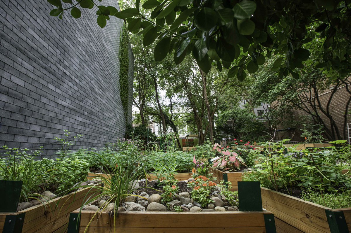 High Maintenance tweet media