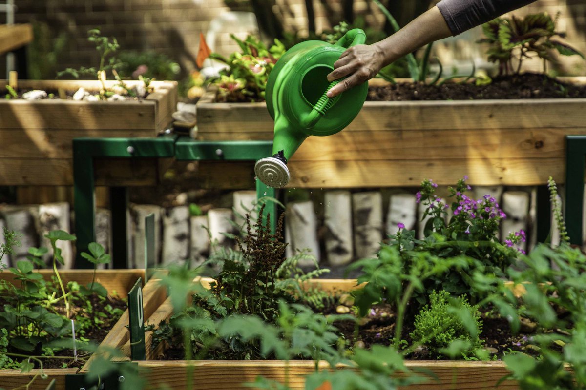 High Maintenance tweet media