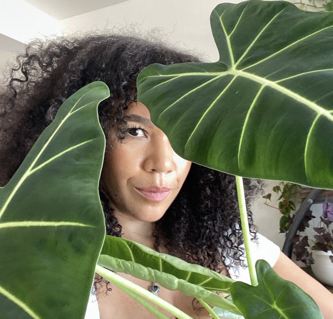 Maryamhasnaa's tweet image. “Introverted but willing to talk about Plants”