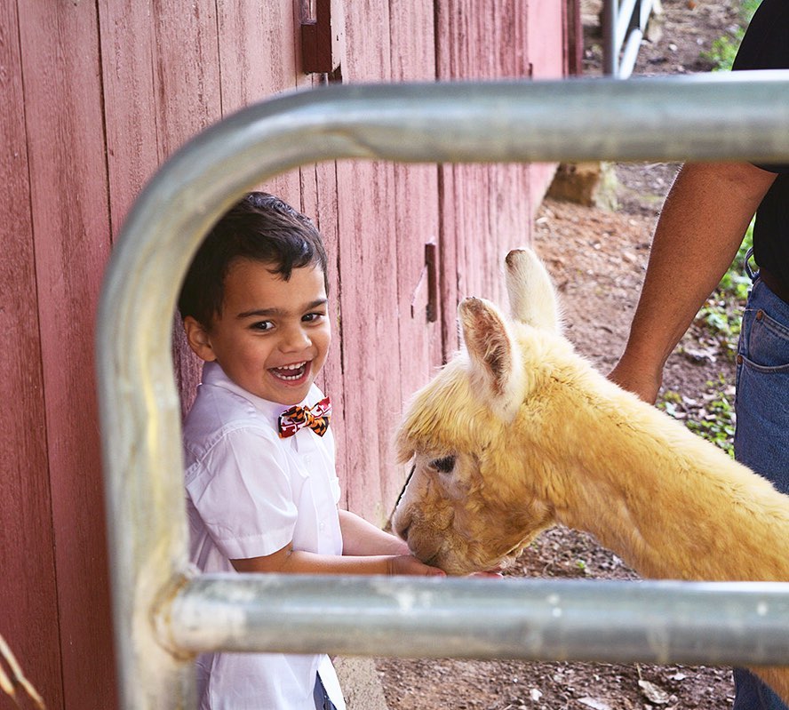 The best kinds of friends are alpaca friends ๐๐ฆ
#CelebrateLife #TusculumFarm https://t.co/jTohxra8nO