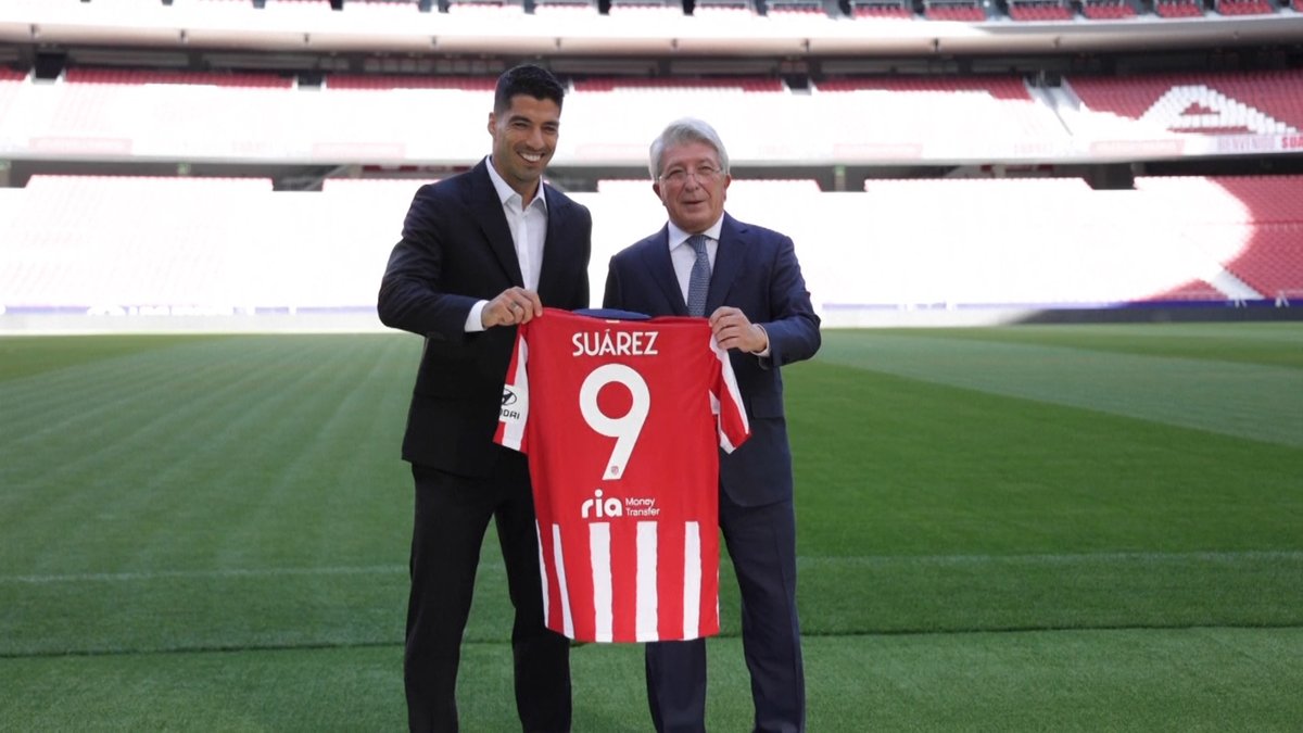 BeanymanSports tweet media