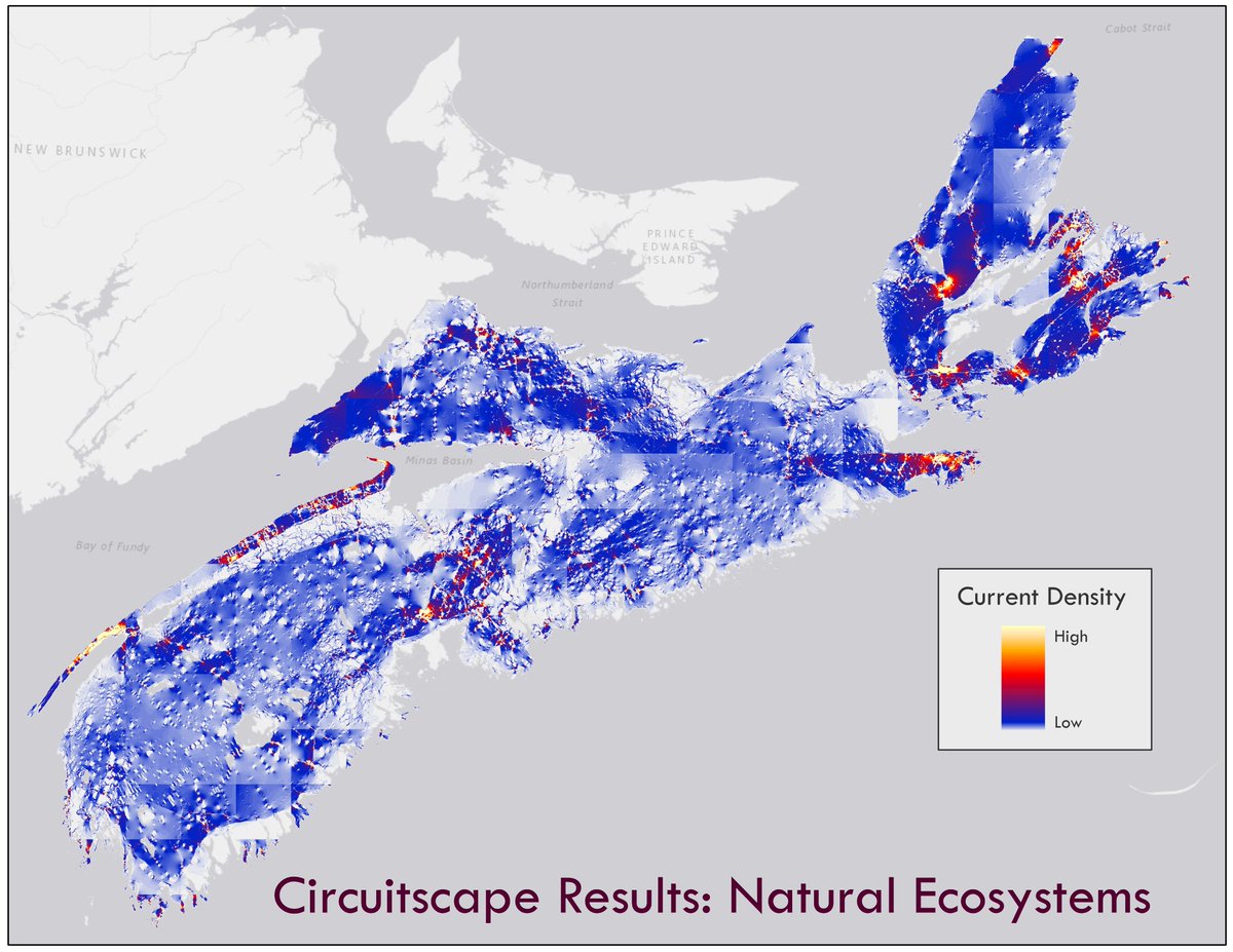 - These results give us a broad overview of connectivity across the province that can be used to identify areas to look at in more detail in the future, especially around major highways