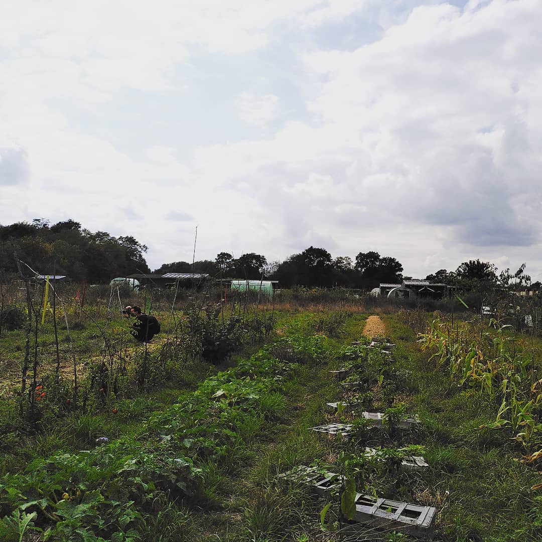 Cette semaine nous avons eu le plaisir d'assister à la journée d'étude organisée par l'<a href="/afaup_asso/">AFAUP</a> à Rennes.
Merci et bravo pour ces rencontres inspirantes ! 🌿
 <a href="/ColsVerts/">Les Cols verts</a>  #PermaGRennes #jardindesmillepas
#urbanfarm #agricultureurbaine #RennesMetropole #rennes