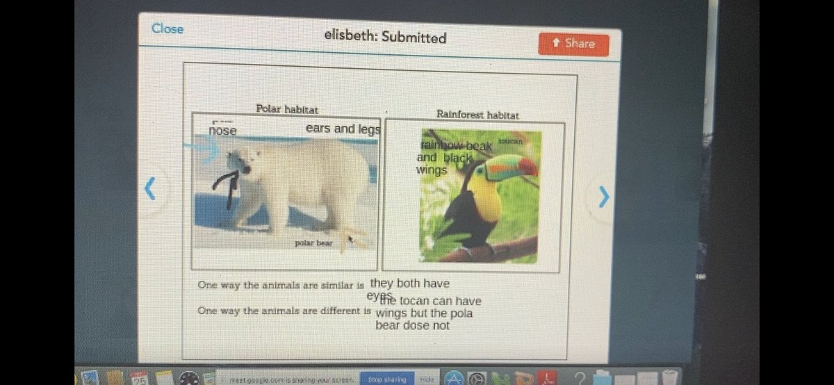 RomoSteamTeam's tweet photo. 2nd graders 1st time using @nearpod to make scientific sketches after reading more about habitats. Incorporating adjectives and comparing and contrasting for an even more integrated lesson! https://t.co/VFFXGWR8cj