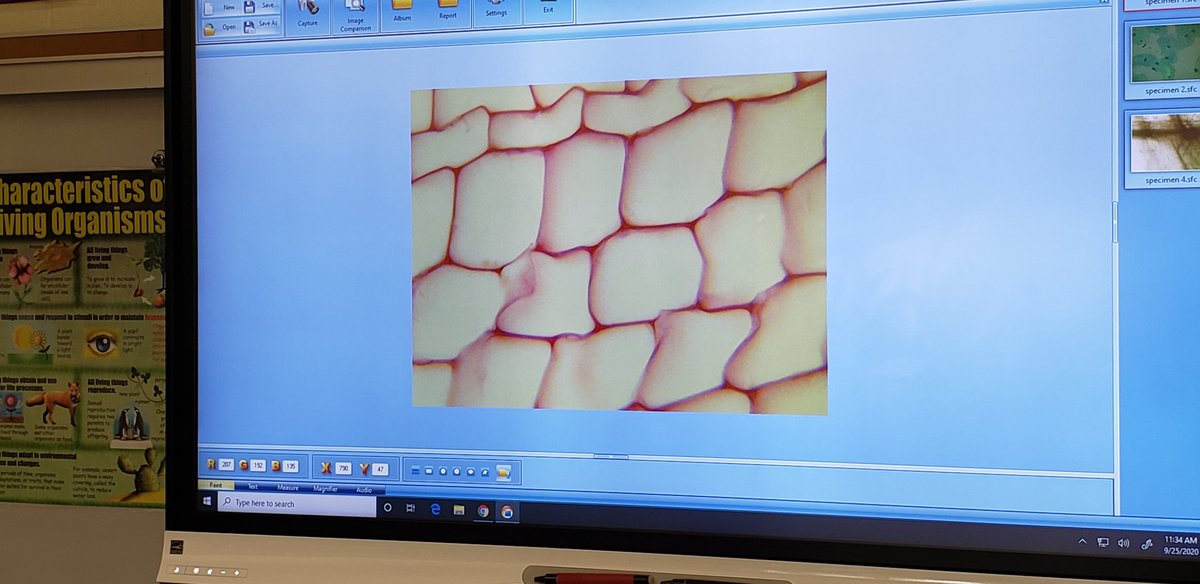 Michael Stagg tweet media