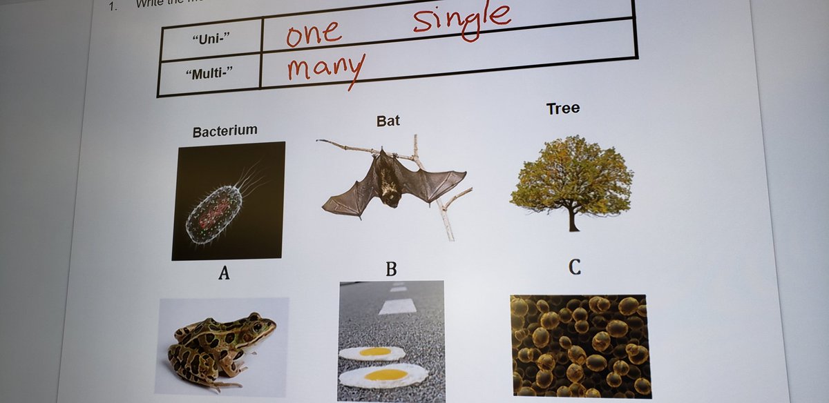 Michael Stagg tweet media