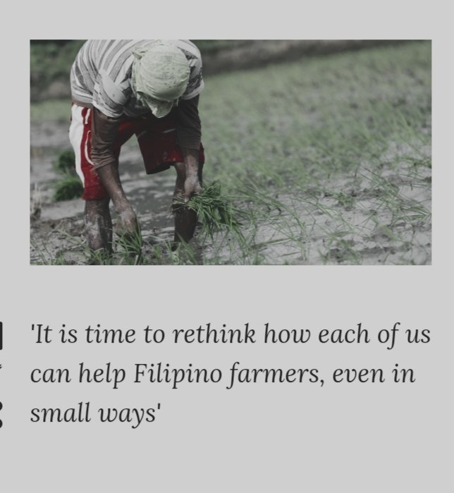 UpdatePH2020's tweet photo. Due to many factors that include the temporary suspension of mass transportation and the closure of some trading posts,  many farmers have had difficulty taking their produce to market.

#Recognizethefarmers
#Helpthefarmers
#Feedthefarmers https://t.co/W9206ILcVk