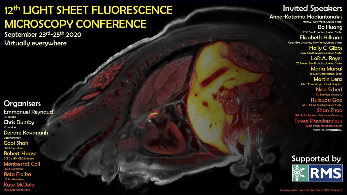 COMPARE_UoBUoN's tweet image. Fantastic to see our light sheet user @wattack's beautiful image used for the #LSFM2020 banner!