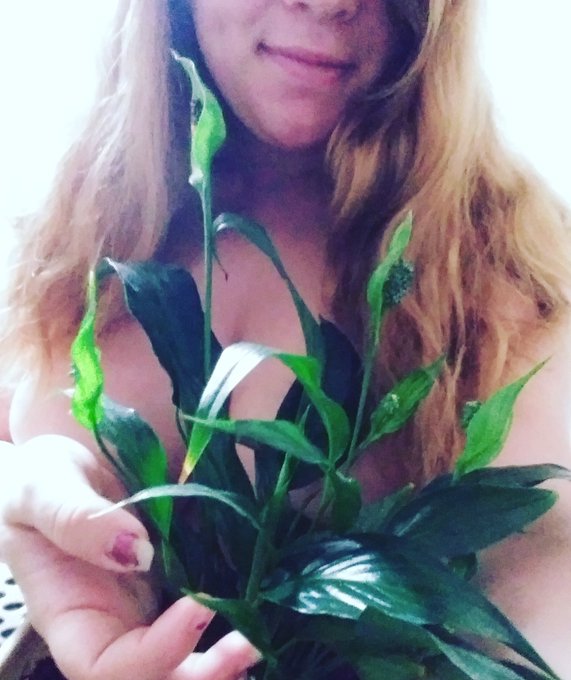 What do you think of my lovely plant? 💚 follow the link below for full videos or message me for information<a href="/tag/messageme"class="tags"><span>#messageme</span></a><a href="/tag/subscribe"class="tags"><span>#subscribe</span></a><a href="/tag/nipples"class="tags"><span>#nipples</span></a><a href="/tag/onlyfans"class="tags"><span>#onlyfans</span></a>
