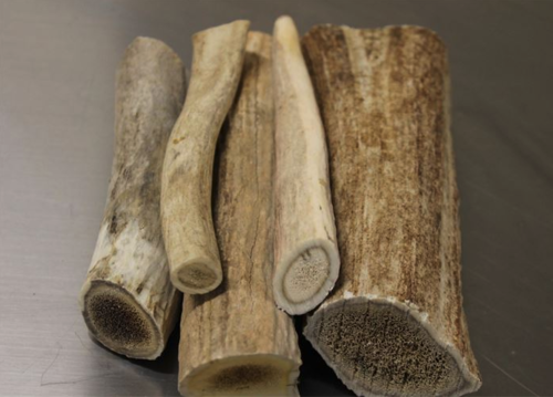 Lynchburger Pet Products tweet media